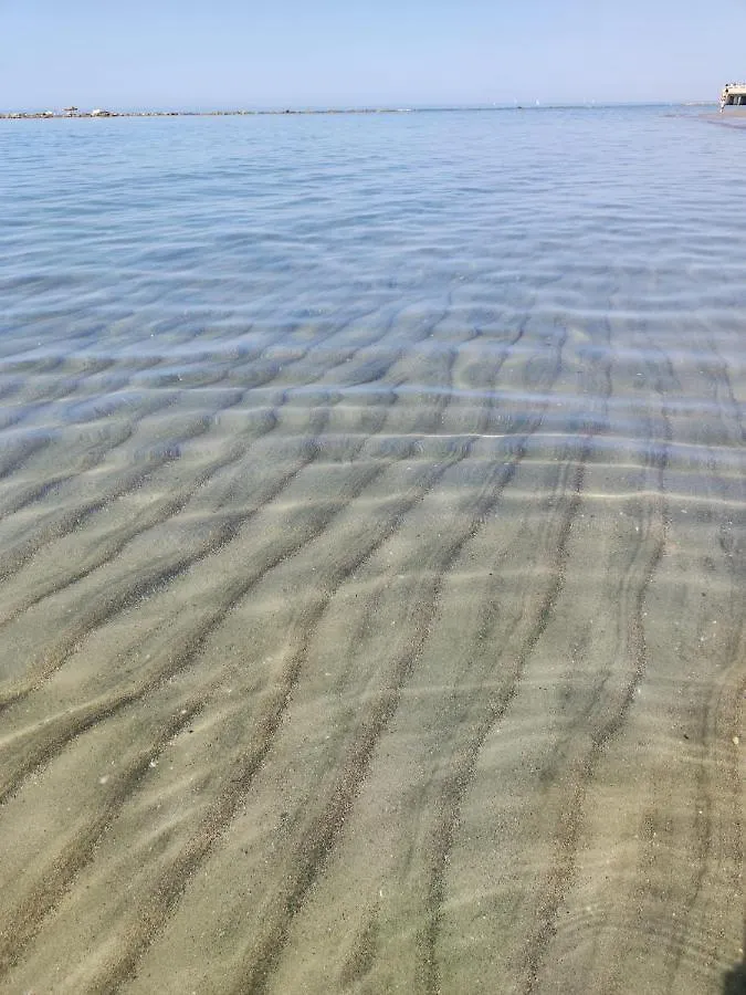Piuma Celeste A Due Passi Dal Mare E Dal Centro Storico Lido di Ostia Apartment