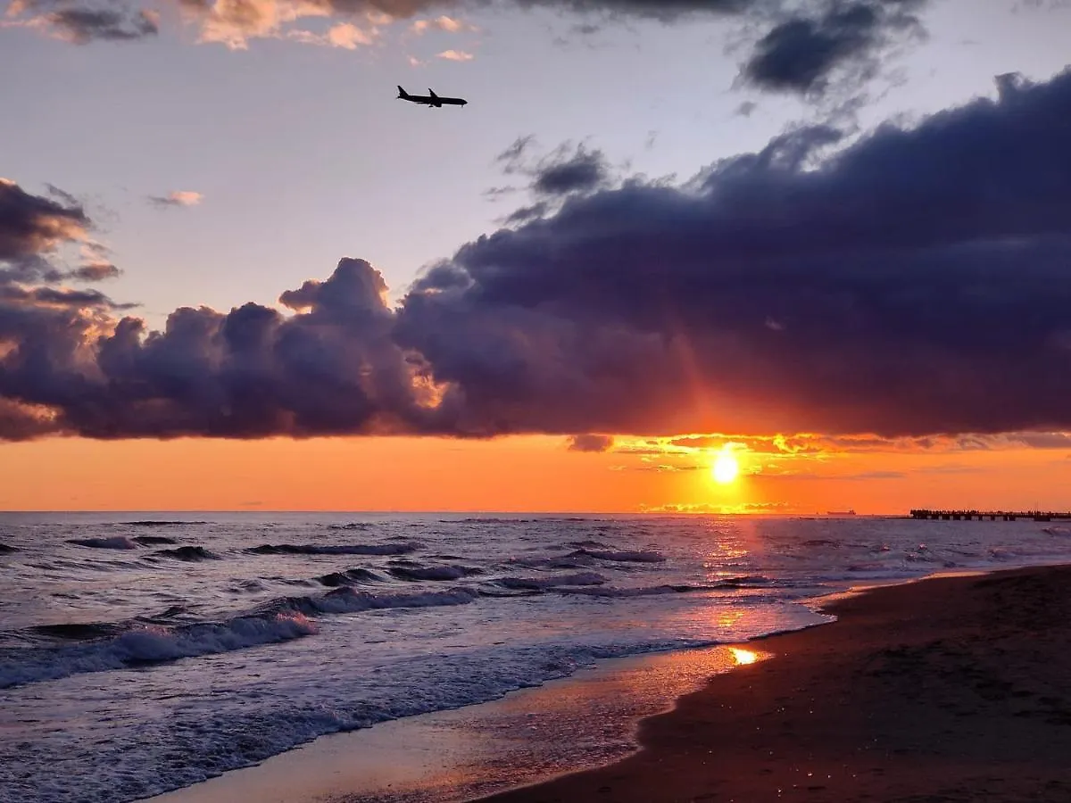 Piuma Celeste A Due Passi Dal Mare E Dal Centro Storico Lido di Ostia