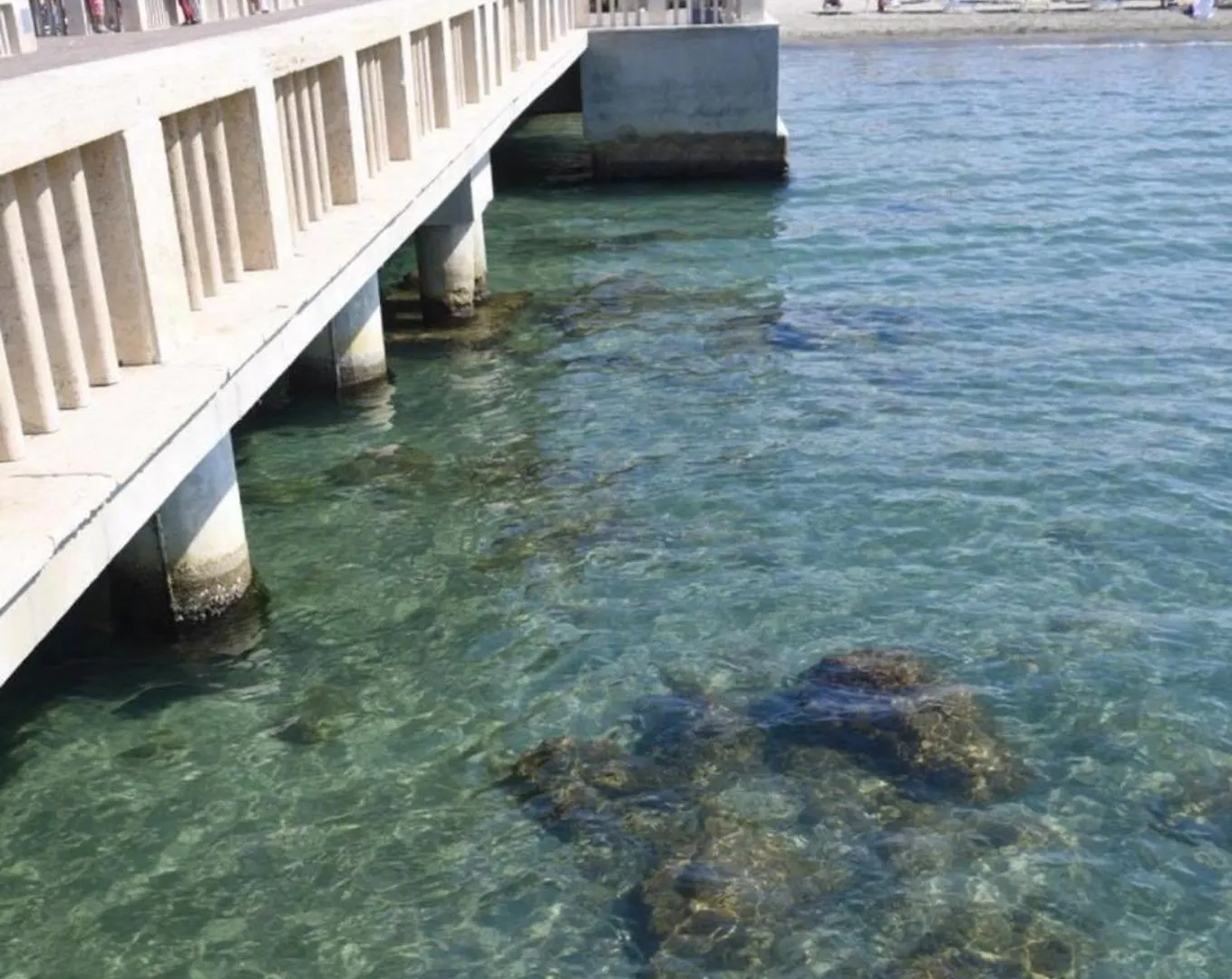 Piuma Celeste A Due Passi Dal Mare E Dal Centro Storico Lido di Ostia