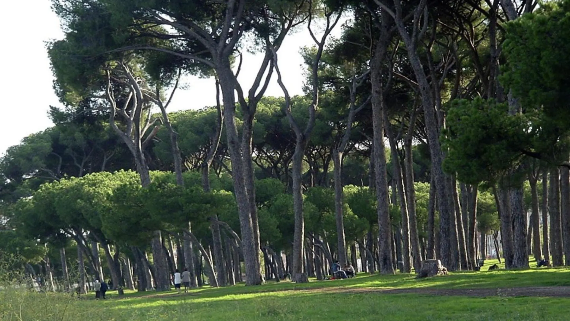 Apartment Piuma Celeste A Due Passi Dal Mare E Dal Centro Storico Lido di Ostia Italy